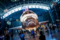 Rockwell Space Shuttle